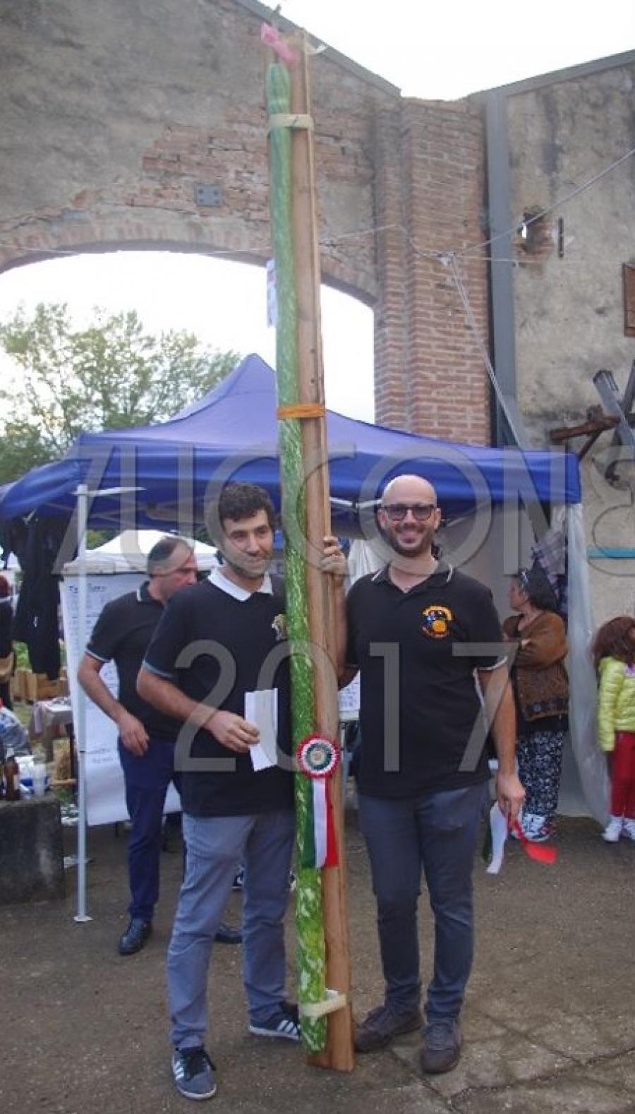 120.3 Casarotto 2017